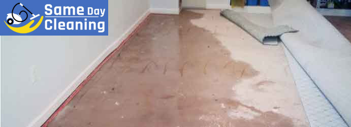 Carpet Water Damage Cleaning Leederville 